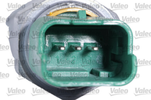 Image de Capteur, niveau d'huile moteur - VALEO - 366225